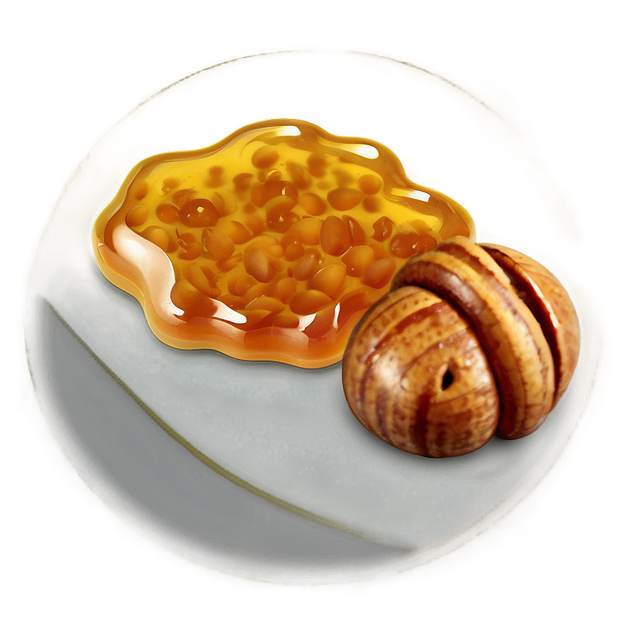 Honey With Nuts Png 05242024