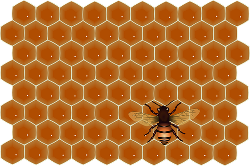 Honeycomband Bee Illustration PNG with transparent background