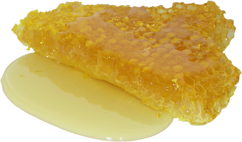 Honeycombwith Honey Dripping.png PNG with transparent background