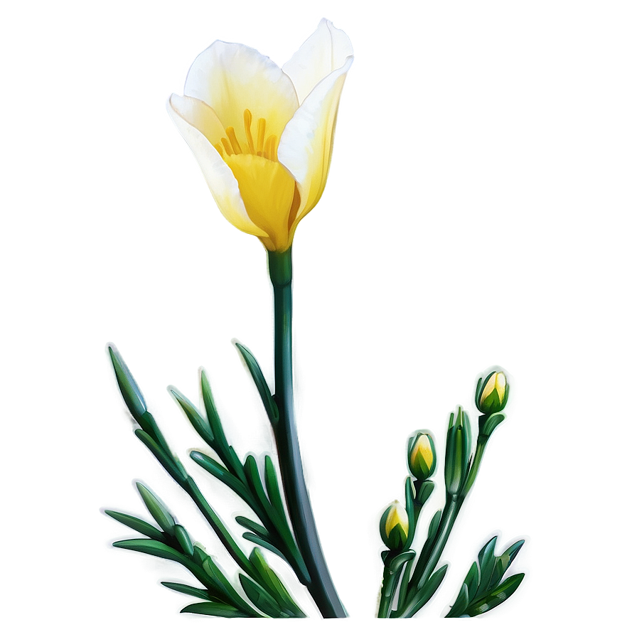 Hopeful Freesia Png Vsp84