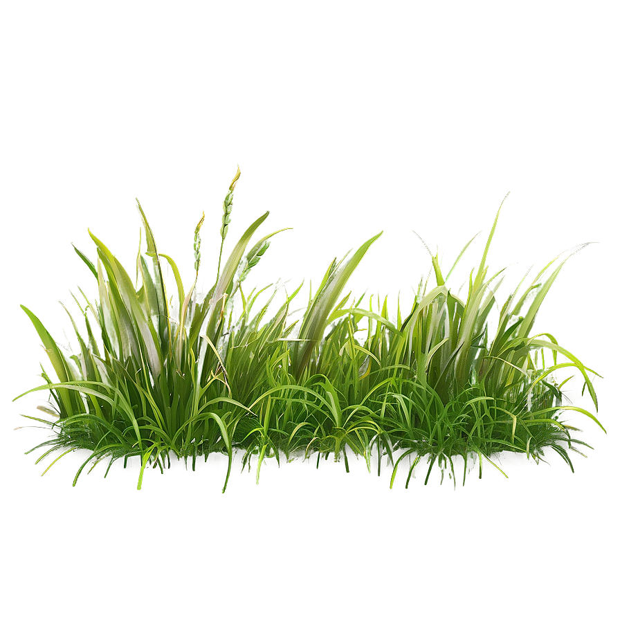 Horizontal Grass Clipart Png 06272024