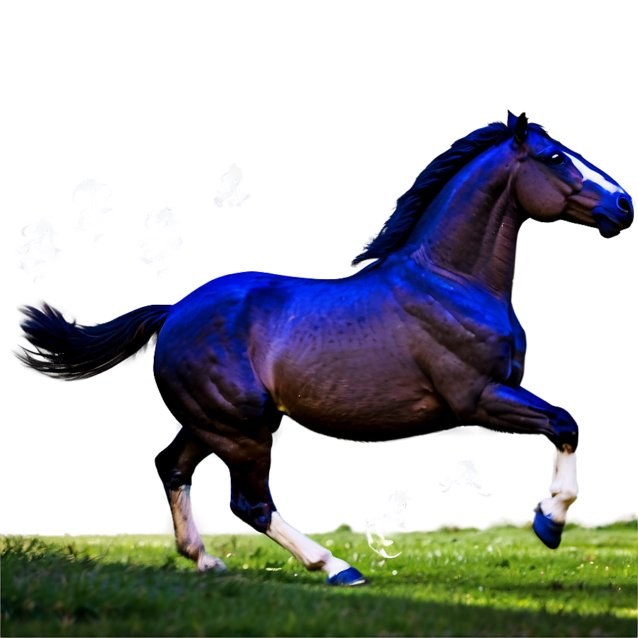 Horse Gallop Png 05032024