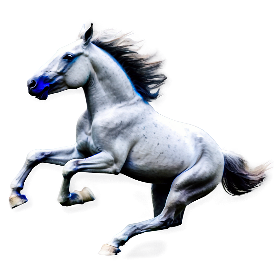 Horse Running Png Rjn