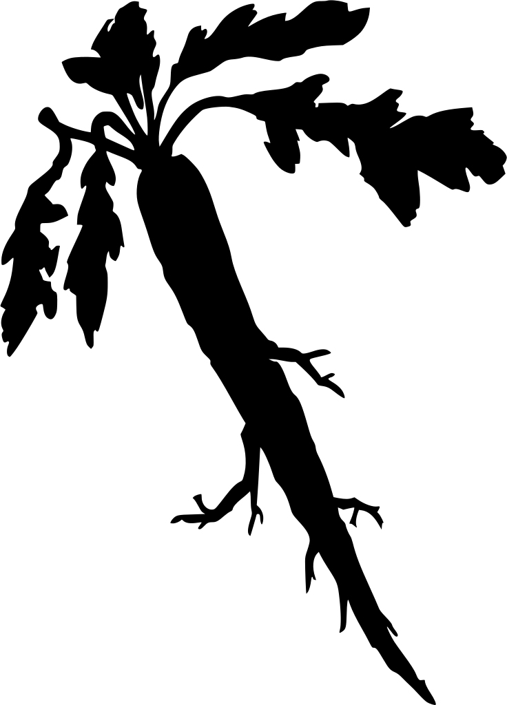 Horseradish Plant Silhouette PNG with transparent background