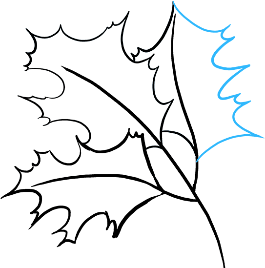 How To Draw Fall Oak - Fall Drawing, HD Png Download PNG with transparent background