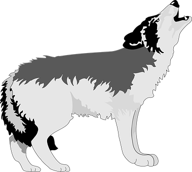 Howling Wolf Silhouette PNG with transparent background