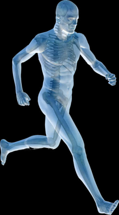 Human Body Joint Pain Pain Management Physical Therapy - Bone And Joint Awareness Week, HD Png Download PNG with transparent background