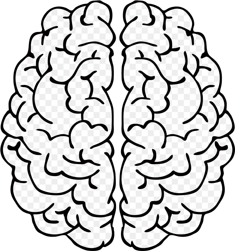 Human Brain Clipart Graphic