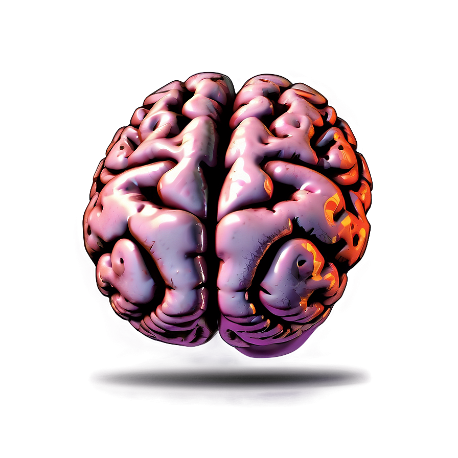 Human Brain Illustration PNG 05242024 PNG with transparent background
