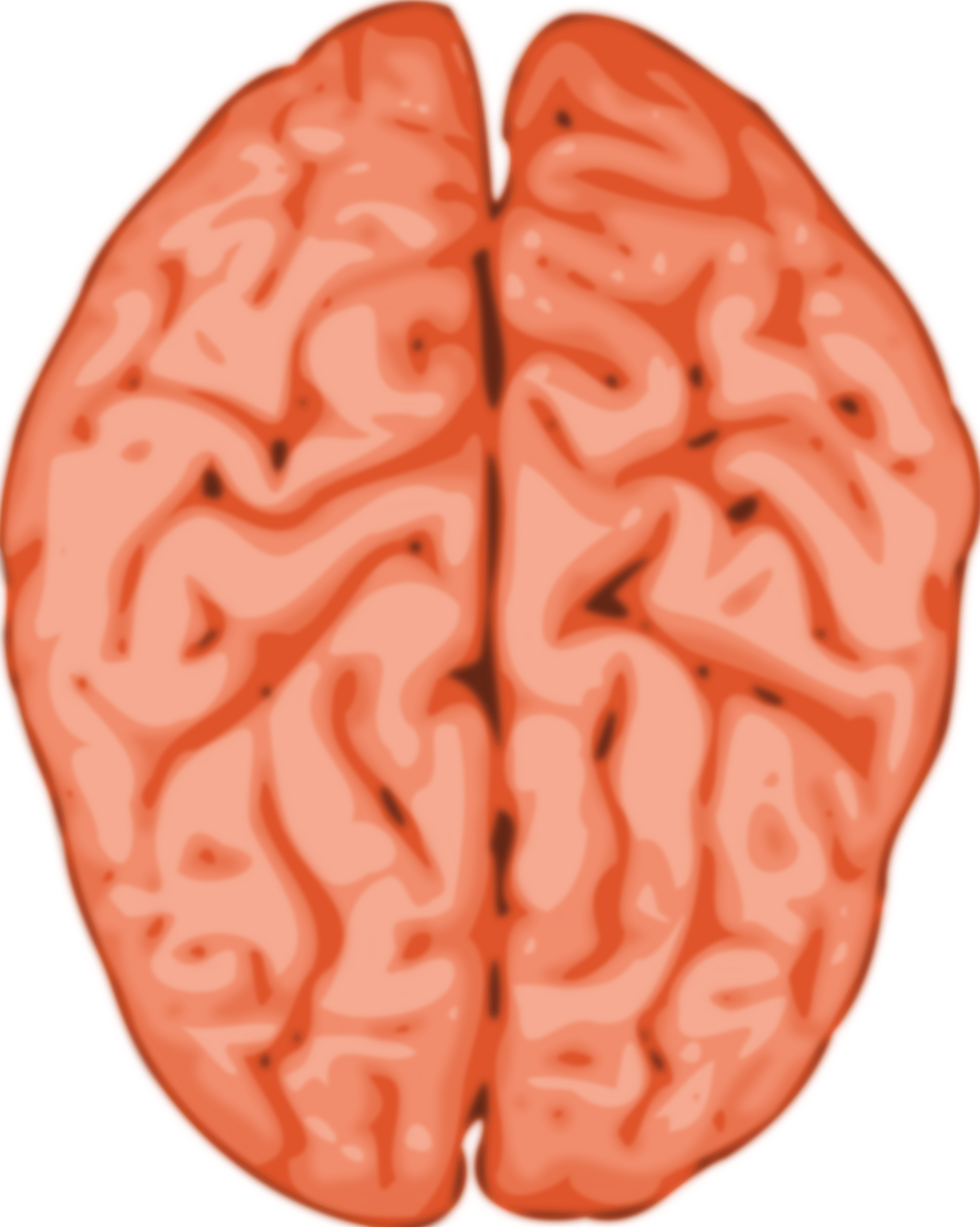 Human Brain Illustration.png