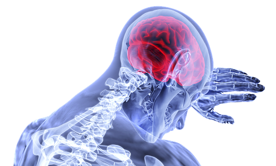 Human Brain Xray Visualization PNG with transparent background
