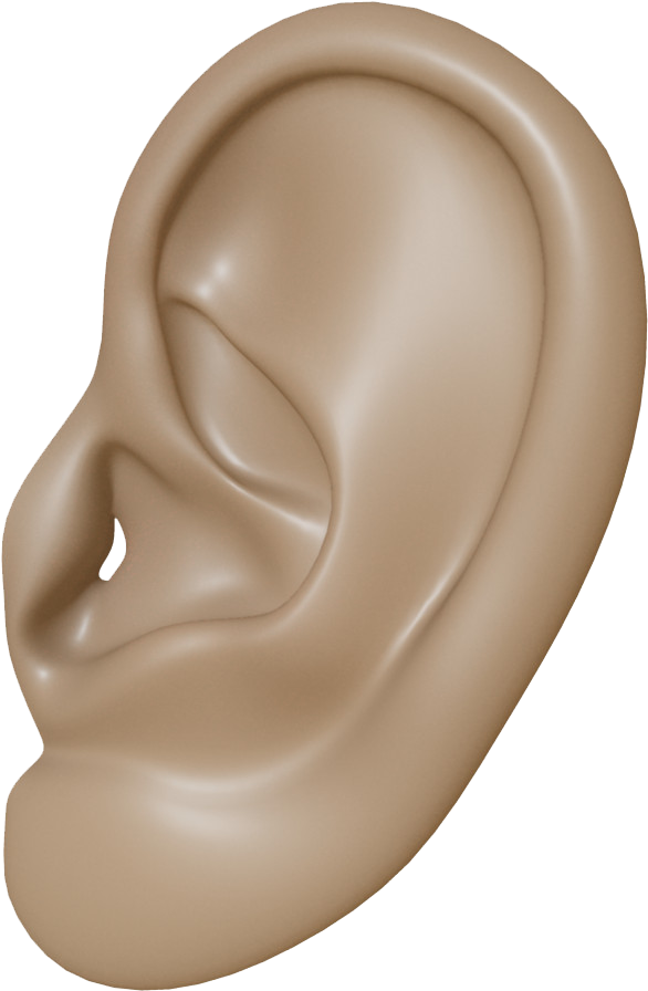 Download Ear Png Clipart - Human Ear Transparent Background, Png Download PNG with transparent background