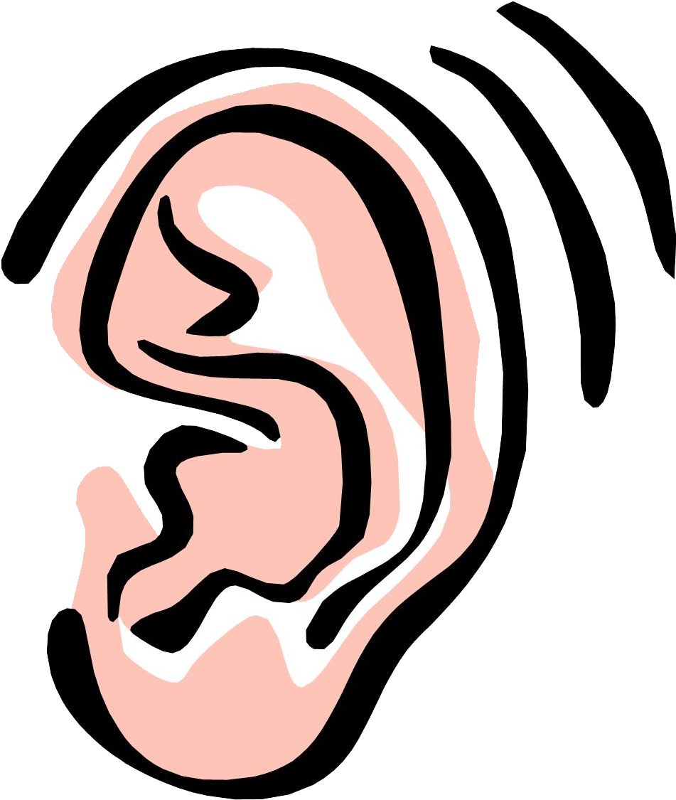 Ear Png Image - Ear Clipart Png, Transparent Png PNG with transparent background