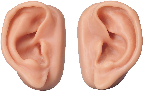 Ear Png - Transparent Background Ears Png, Png Download PNG with transparent background
