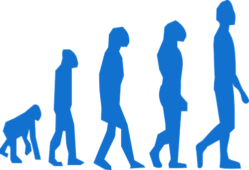 Human_ Evolution_ Sequence PNG with transparent background