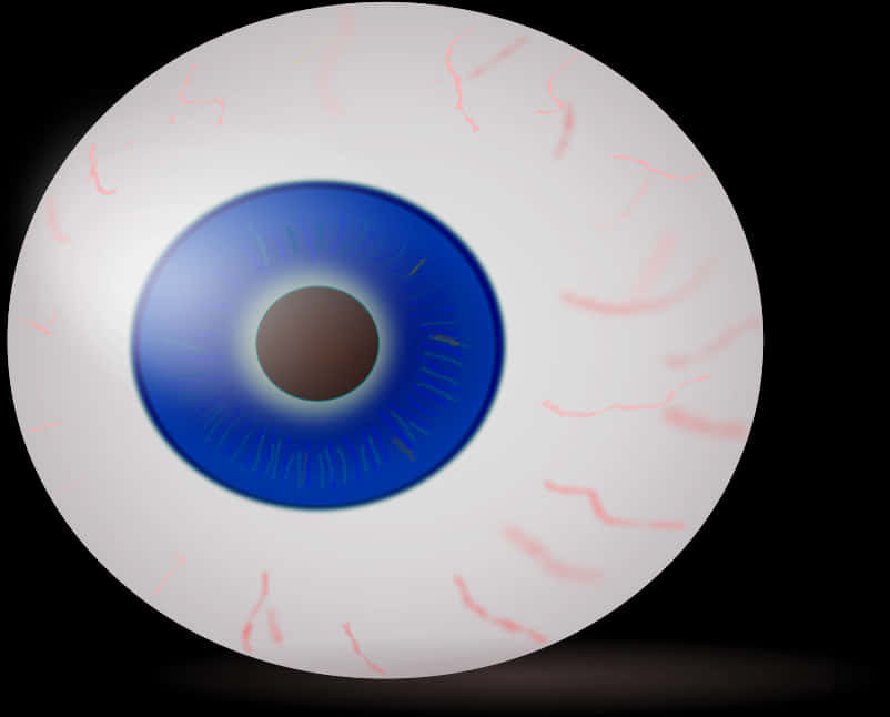 Human Eyeball Illustration PNG with transparent background