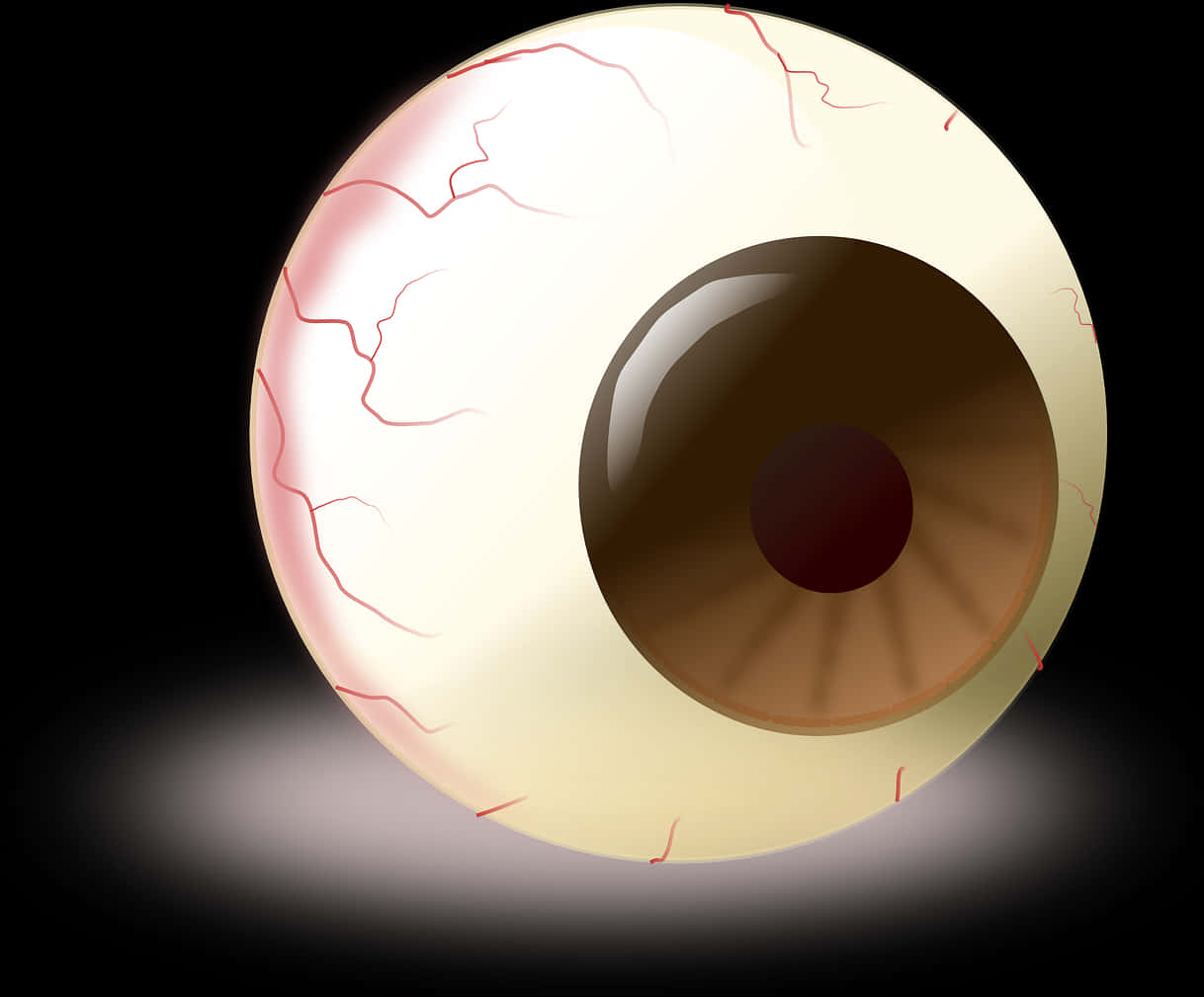 Human Eyeball Illustration PNG with transparent background