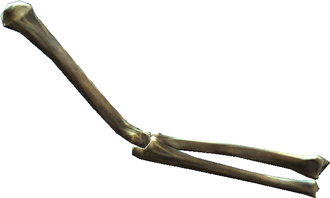 Human Femur Bone3 D Render PNG with transparent background