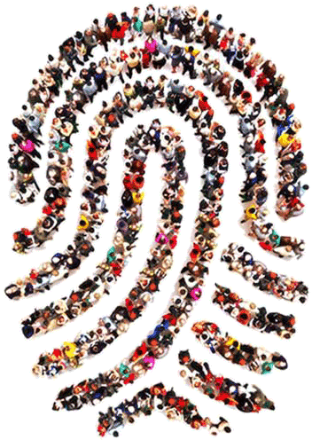 Human Fingerprint Formation PNG with transparent background