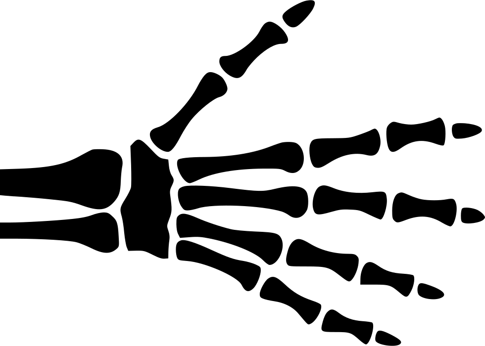 Human Hand Xray Outline