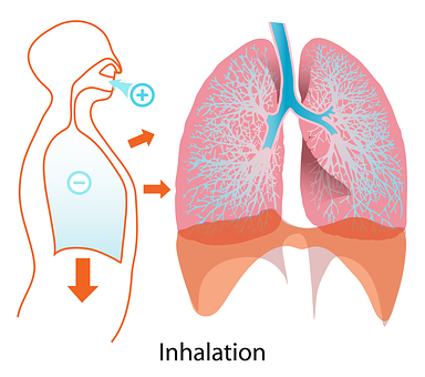 Human Inhalation Process Illustration