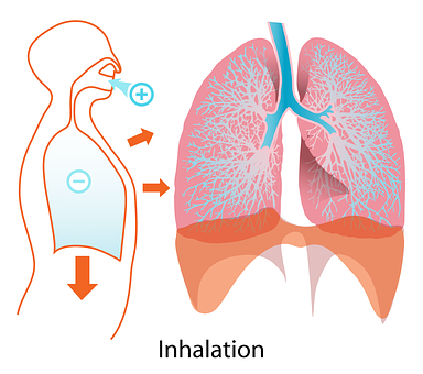 Human Inhalation Process Illustration PNG with transparent background