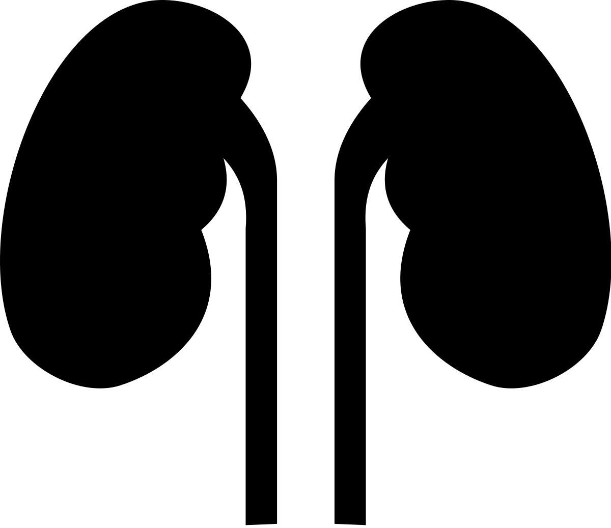 Transparent Kidney Png - Kidney Clipart Png, Png Download PNG with transparent background