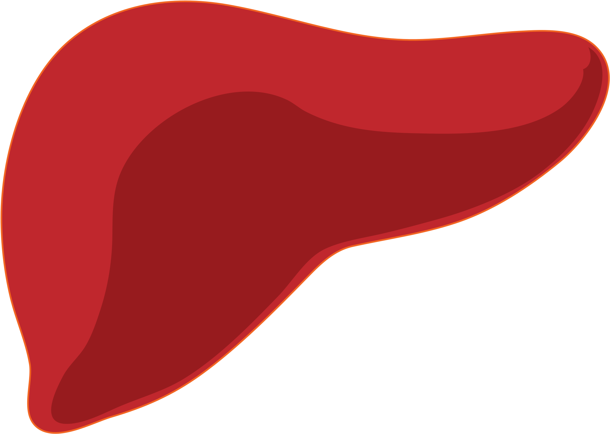 Human Liver Illustration.png PNG with transparent background