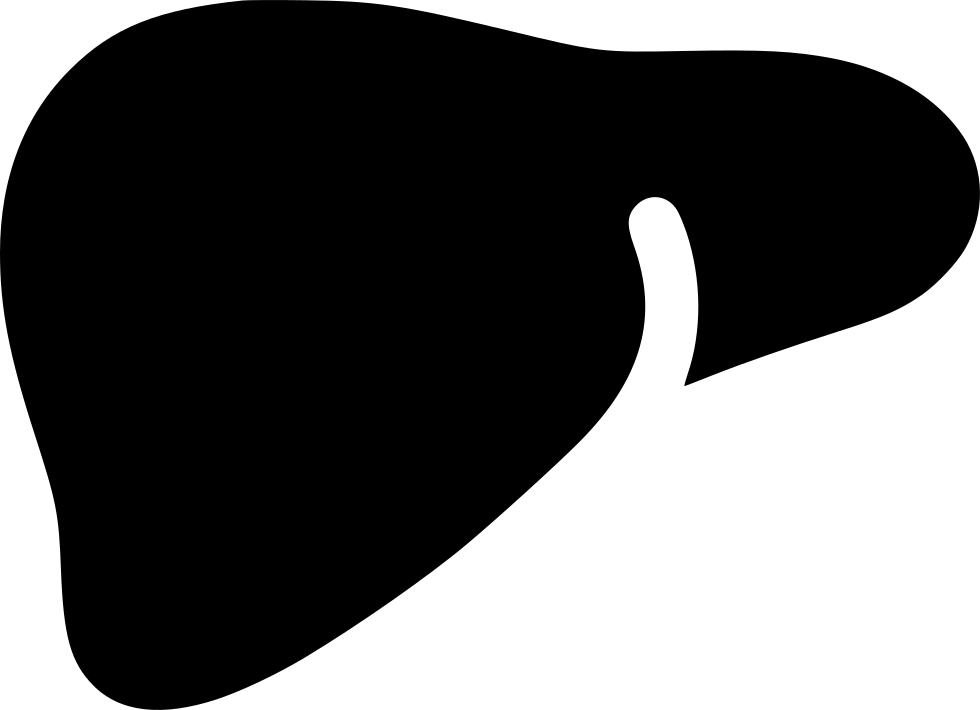 Human Liver Silhouette Graphic PNG with transparent background
