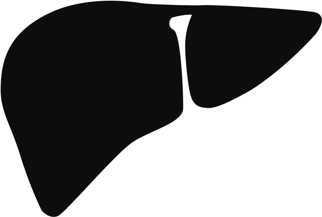 Human Liver Silhouette Graphic PNG with transparent background
