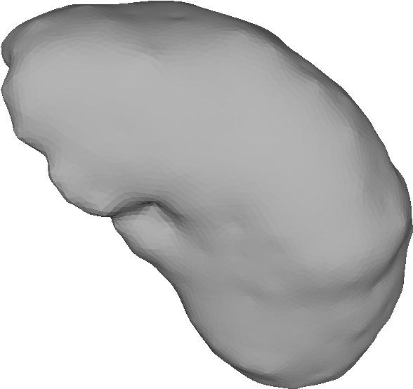 Human Liver3 D Model Rendering PNG with transparent background