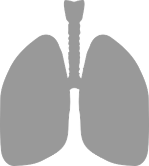 Human Lungs Silhouette PNG with transparent background