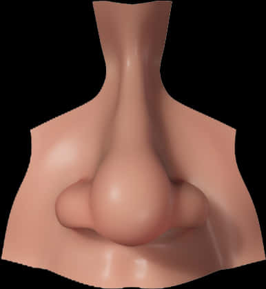 Human Nose Close Up3 D Render