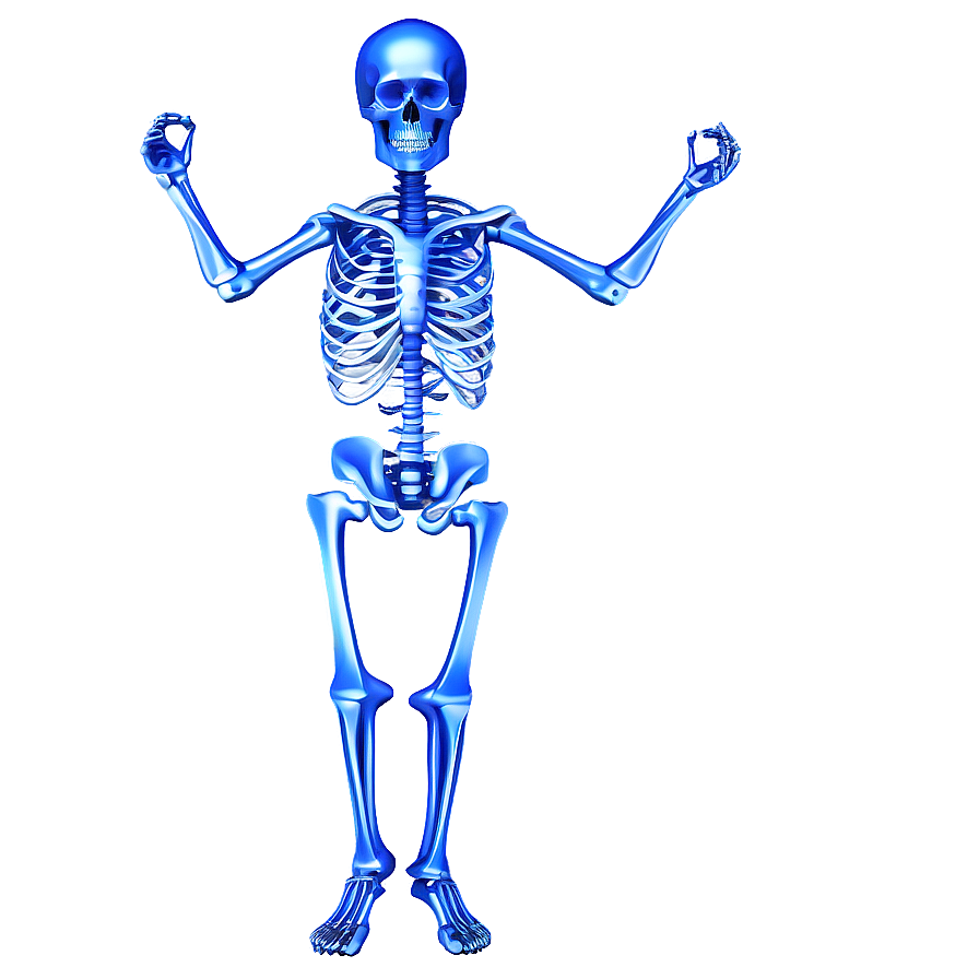 Human Skeleton For Medical Reference Png Tja37