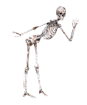 Human Skeleton Pose Black Background PNG with transparent background