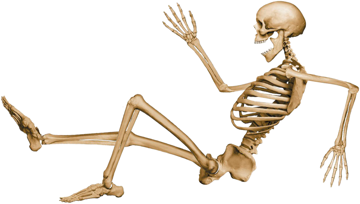 Human Skeleton Running Pose PNG with transparent background
