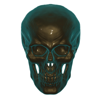 Human Skull X Ray Visualization PNG with transparent background