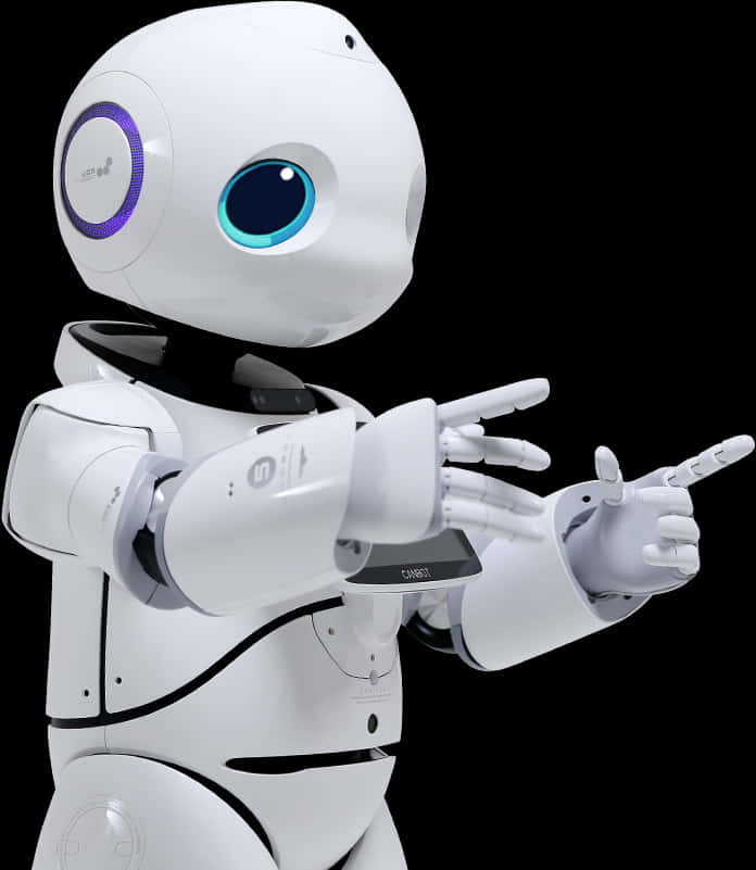 Humanoid Robot Gesturing Pointing