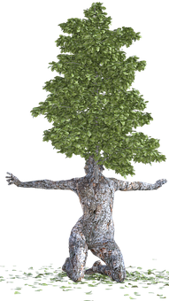Humanoid Tree Artwork PNG with transparent background
