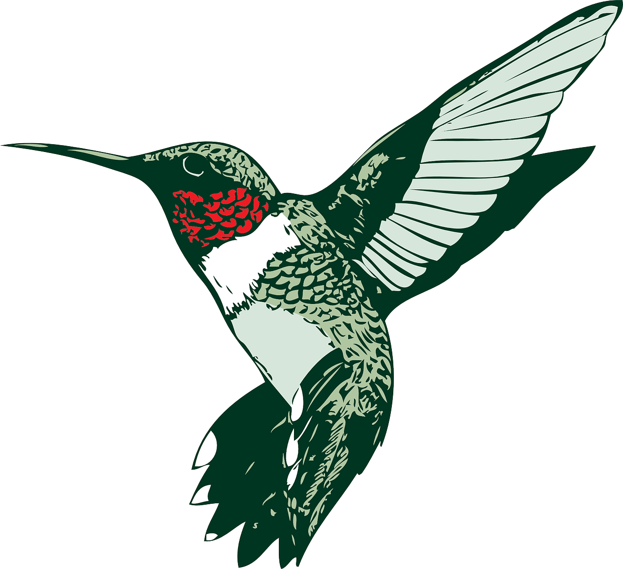 Humming Bird Clip Art, HD Png Download PNG with transparent background