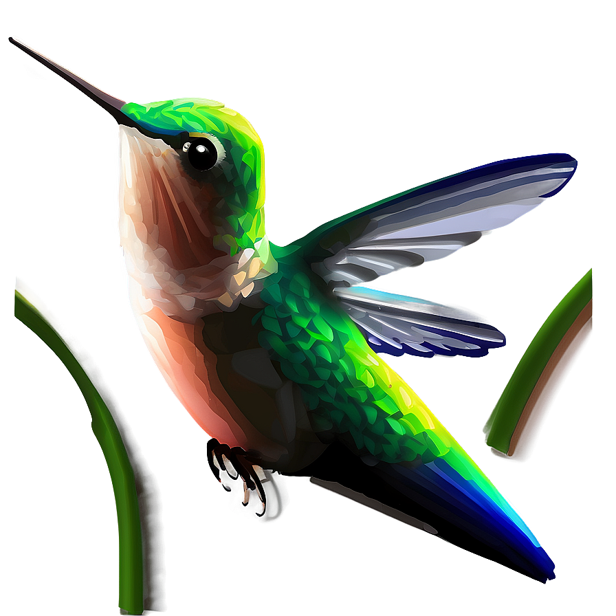 Hummingbird Digital Art Png 50