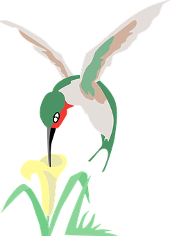 Hummingbird Feedingon Flower PNG with transparent background