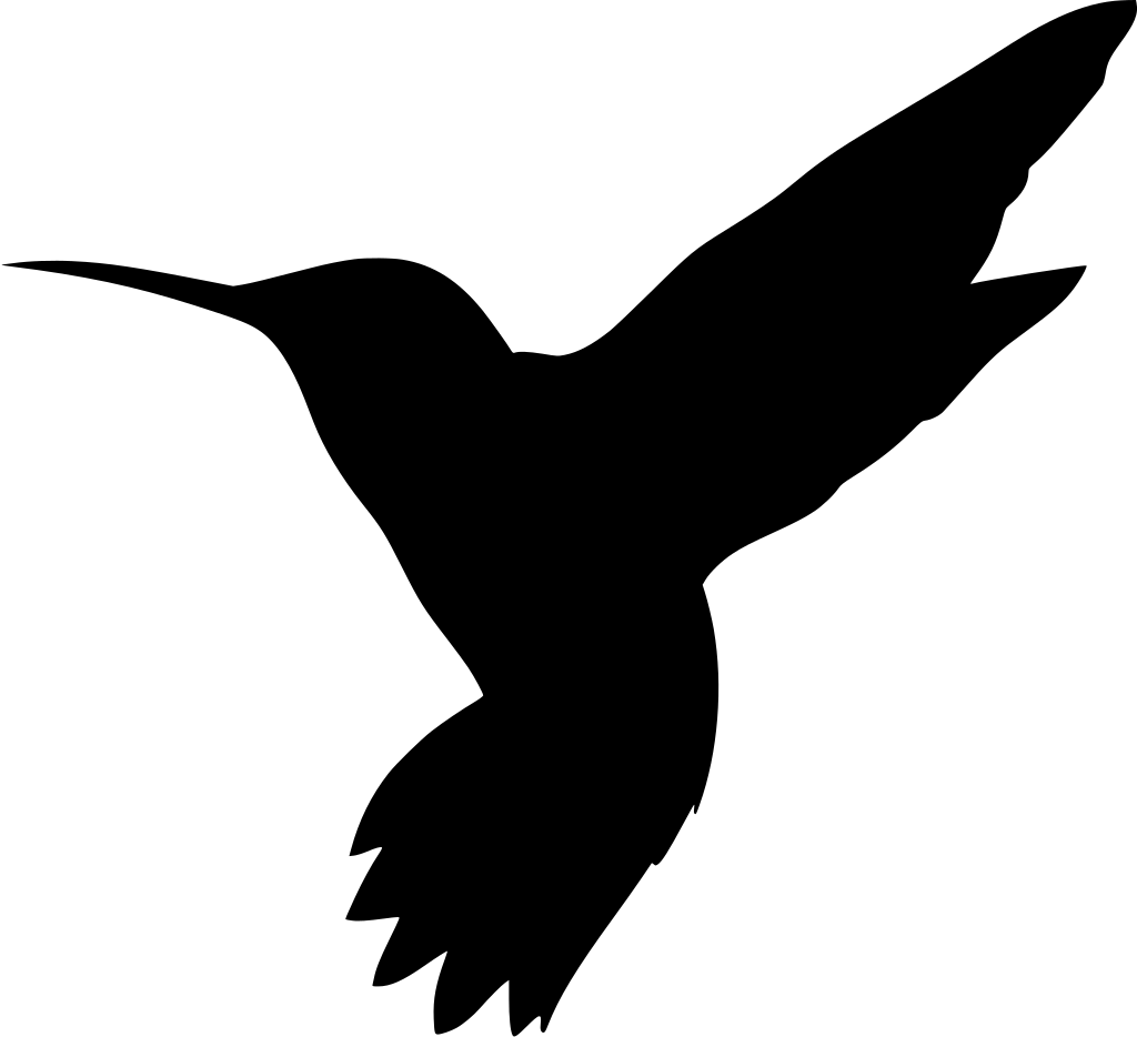 Hummingbird, HD Png Download PNG with transparent background