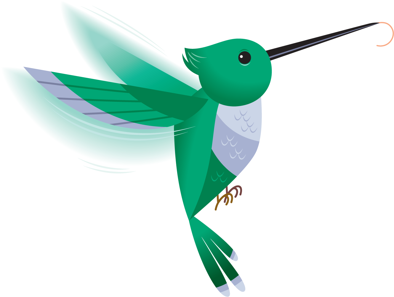 Hummingbird Images Hd Photos Clipart - Hummingbird Clipart Transparent Background, HD Png Download PNG with transparent background