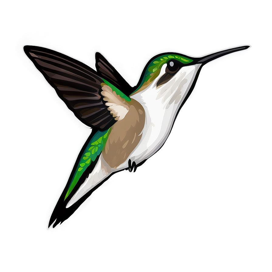 Hummingbird In Flight Png 49