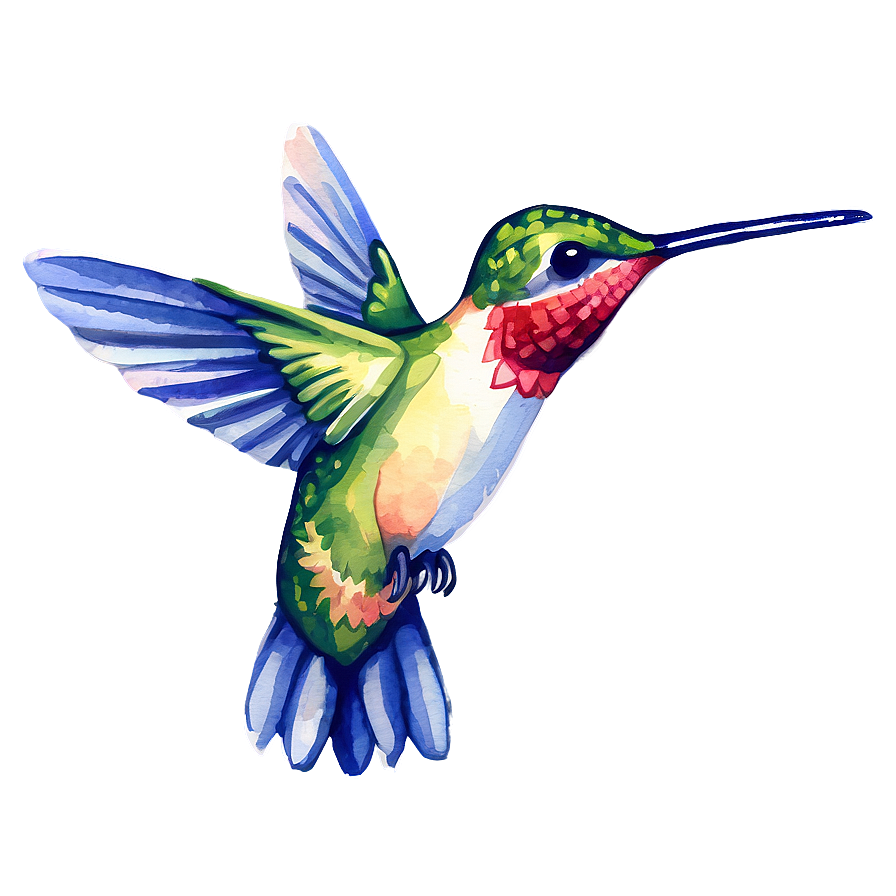 Hummingbird In Watercolor Style Png Bbh98