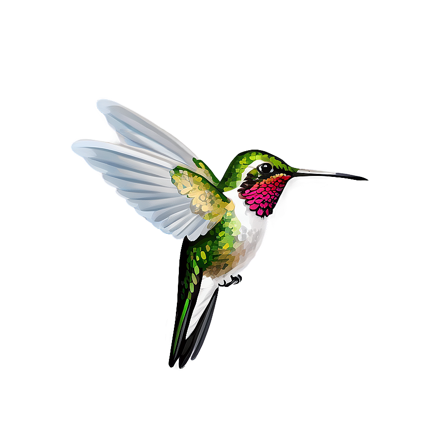 Hummingbird Side View Png Okn80