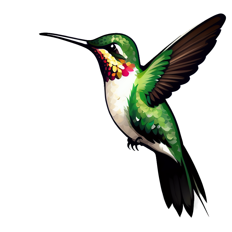 Hummingbird Vector Graphic Png 05212024