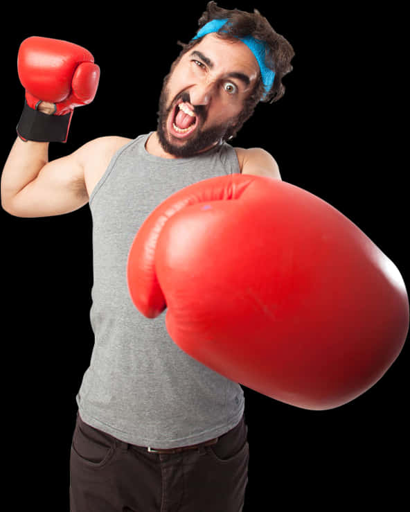 Humorous Boxer Readyfor Action