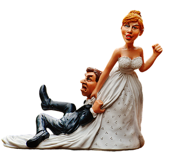 Humorous Wedding Cake Topper PNG image with a transparent background, free high-resolution download
